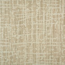Elation Sandstone