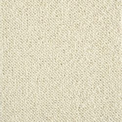 Everglades Ivory