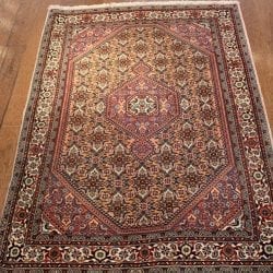 One Of a Kind Rugs FOV5473 Bidjar Area Rug