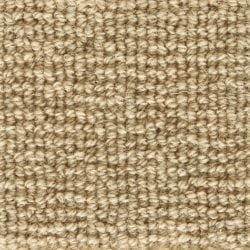 Forester Beige