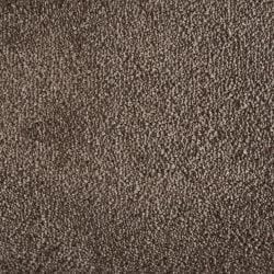 Shaggy Grove Taupe
