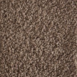 Special Tufted Wool H467T