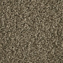 Special Tufted Wool H978E
