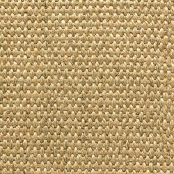 Accra Nutmeg