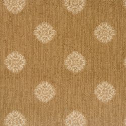 Aylin Camel