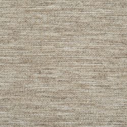 Bagota Canvas