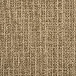 King Canyon Beige