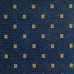 Lake Geneva Navy