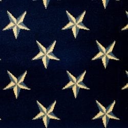 Lake Ontario Navy