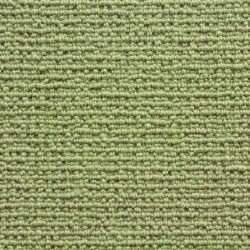 Sequoia Sahara