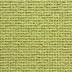 Sequoia Sandstone