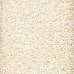 Shagariffic Ivory