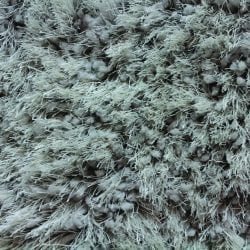 Shaggy Stratus Chrome