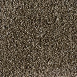 Shaggy Plush Metallic Beige