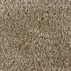 Shaggy Plush Sand