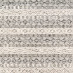 Momeni Andes AND10 Ivory Area Rug
