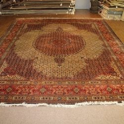 One Of a Kind Rugs FOV5397 Persian Area Rug