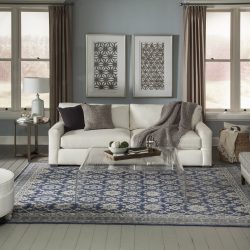 Momeni Banaras BNR-1 Blue Area Rug