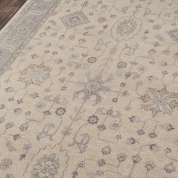 Alternative view of Momeni Banaras BNR-3 Beige Area Rug