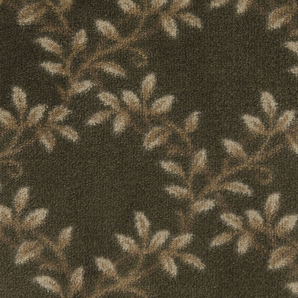 Fovama Special Image Bluffview Organic Evergreen