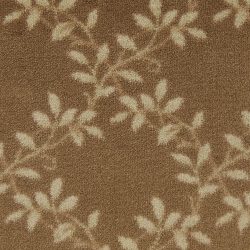 Fovama Special Image Bluffview Organic Hazelnut