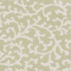 Fovama Special Image Bridgewater Coral Spring Palm