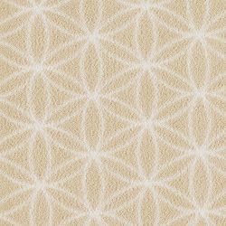 Fovama Special Image Lucida Eyelet Buttercup