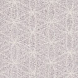 Fovama Special Image Lucida Eyelet Orchid