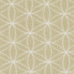 Fovama Special Image Lucida Eyelet Pistachio