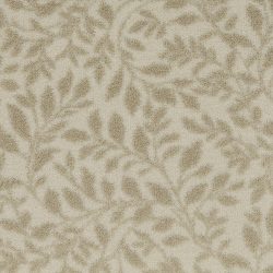 Fovama Special Image Thicket Hidden Trail Breezing Beige