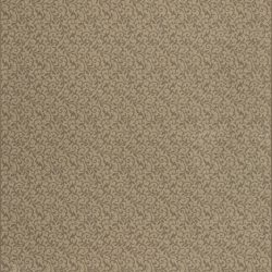 Fovama Special Image Graceful Garden Pure Elegance Clove