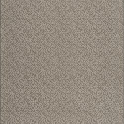 Alternative view of Fovama Special Image Graceful Garden Pure Elegance Silver Ash