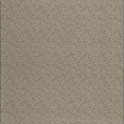 Fovama Special Image Graceful Garden Pure Elegance Spruce