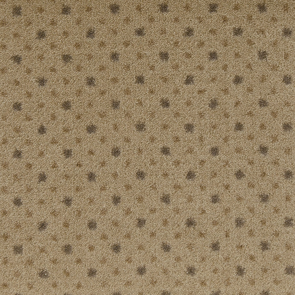 Fovama Special Image Viewpoint Key Pointe Jute
