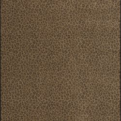 Alternative view of Fovama Special Image Wild Journey African Plain