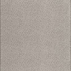 Alternative view of Fovama Special Image Wild Journey Cloud Shadow