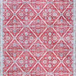 Couristan PASHA ARCADIA GARNET Area Rug