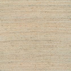 Couristan NATURE'S ELEMENTS GRAVITY NATURAL Area Rug