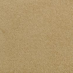 Fabrica Denali 210DN DN10 Carpet