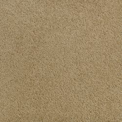 Fabrica Denali 210DN DN12 Carpet