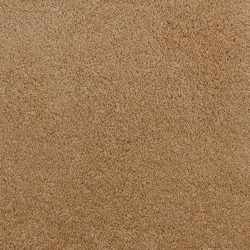 Fabrica Denali 210DN DN13 Carpet