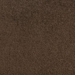 Fabrica Denali 210DN DN18 Carpet