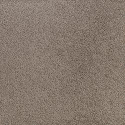 Fabrica Denali 210DN DN26 Carpet
