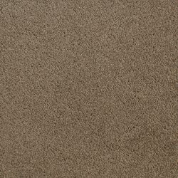 Fabrica Denali 210DN DN31 Carpet