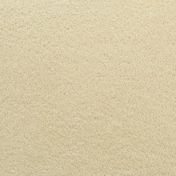 Fabrica Denali 210DN DN40 Carpet