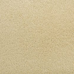 Fabrica Denali 210DN DN46 Carpet