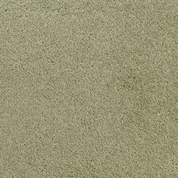 Fabrica Denali 210DN DN50 Carpet