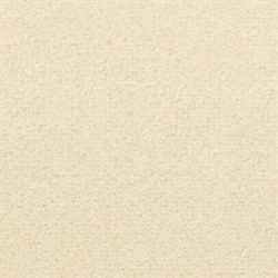 Fabrica Captiva 217CV 732ST Carpet