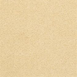 Fabrica Captiva 217CV 741ST Carpet