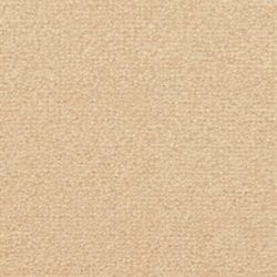 Fabrica Captiva 217CV 743ST Carpet
